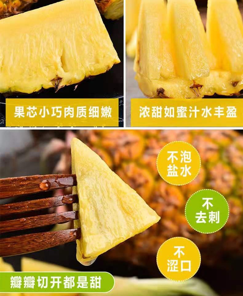 【圣果一家】云南手撕牛奶大凤梨