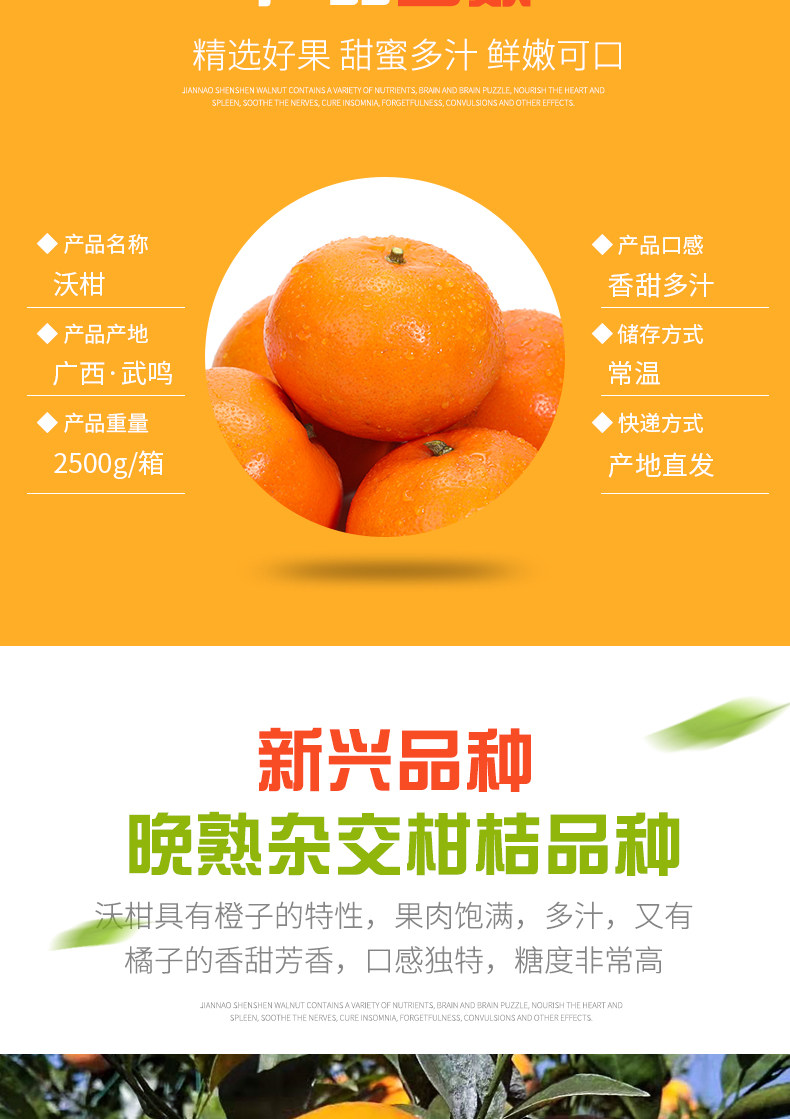 正宗广西沃柑砂糖橘 5斤 现摘现发 图3