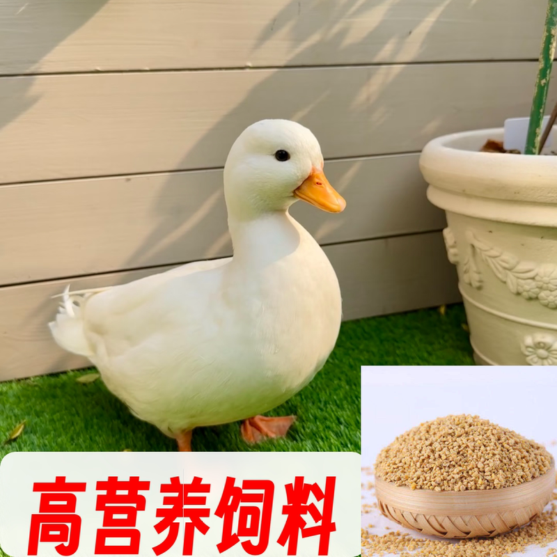 Pet Yellow Duck, Cole Duck, Professional High-Nutrition and High-Protein Feed, Duckling, Baby Duck, Duckling Feed