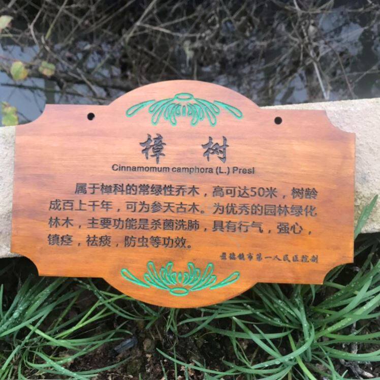 Wooden tablecard adoption label cardGreen name plant tree school listed tree planting tree scene tree