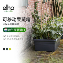 elho planting vegetable basin family balcony planting vegetable artifact vegetable garden planting box roof planting box large plastic thickening