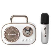 New childrens birthday gifts for boys and girls 8 over ten years old 10 primary school students 12 children 7-9 toys 6 practical 5 microphones