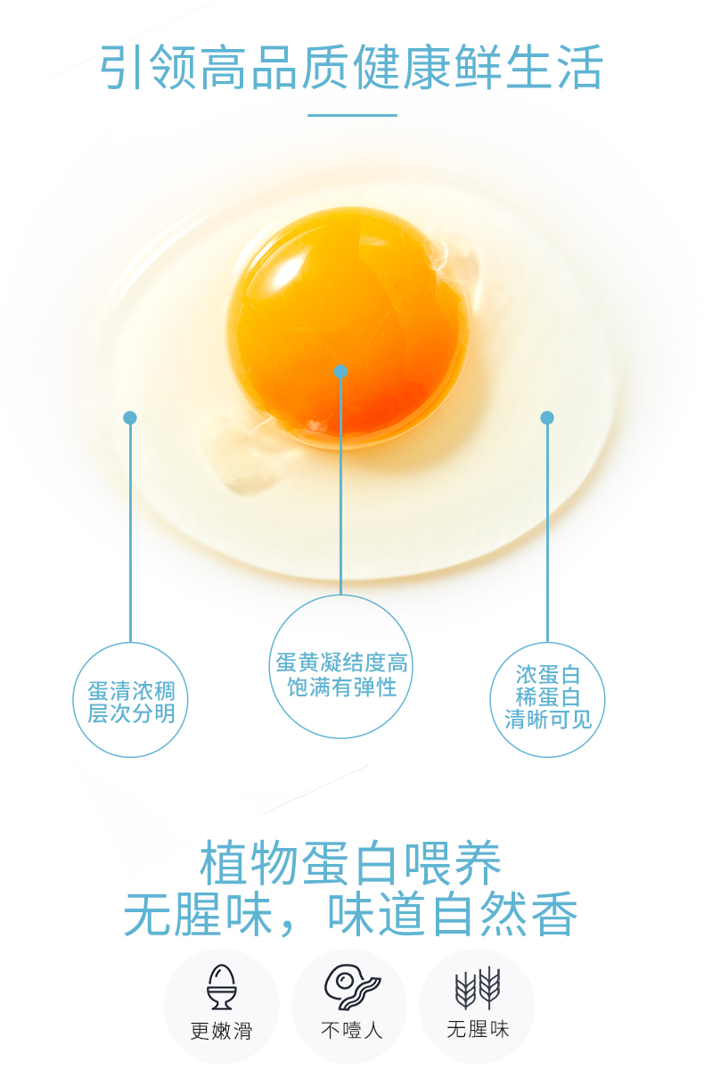 【鸡仔总动员】新鲜大号鸡蛋20枚