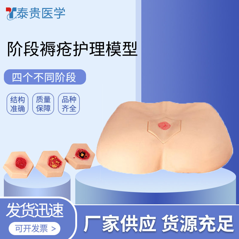 泰贵医学TG/H90F阶段褥疮护理模型高级养老教学模拟人臀部清创