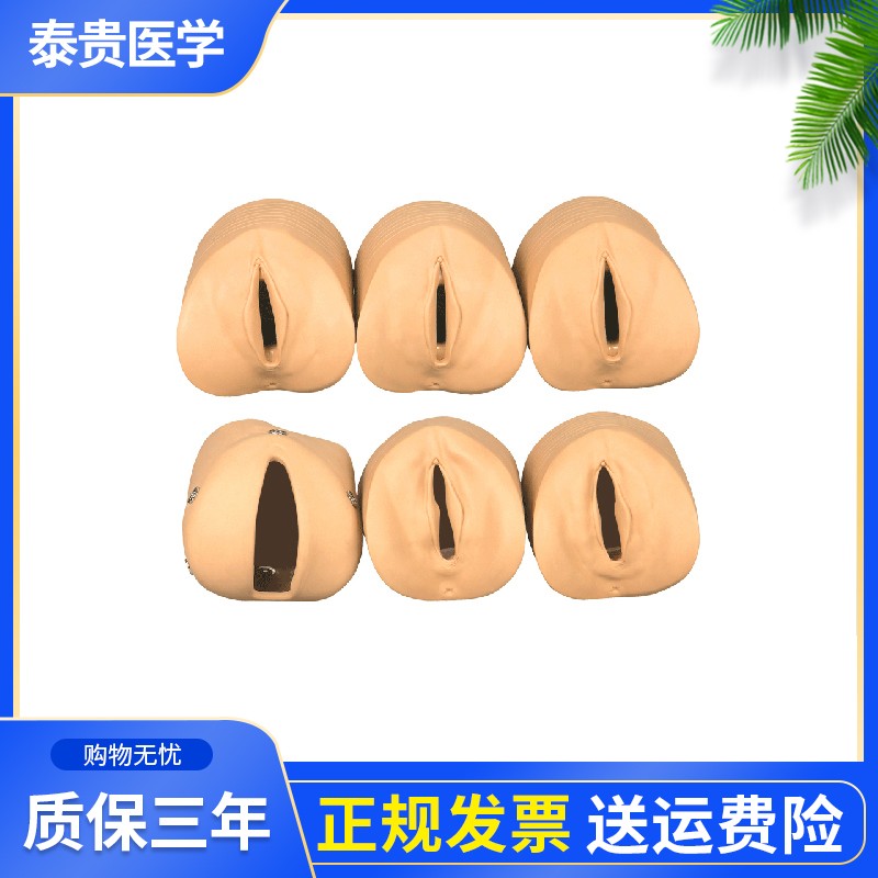 泰贵医学TG/F20G产前宫颈变化与产道关系模型