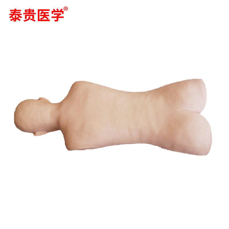 泰贵医学 多功能中医技能训练半身模型 （不含隐性穴位） TG-ZCPB