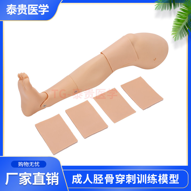 CK821成人胫骨穿刺训练模型下肢骨髓穿刺医学用腿部教学训练模块