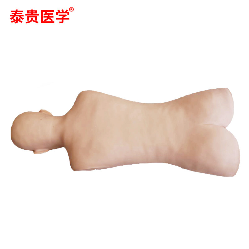 泰贵医学 拔罐模型 TG-BGK