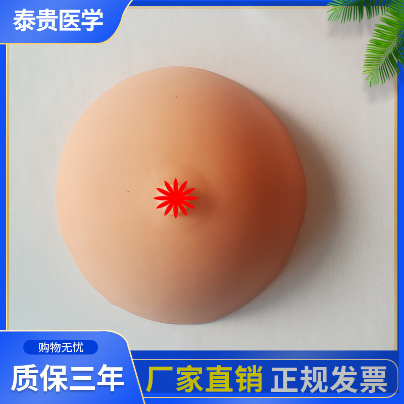 泰贵医学催乳师培训用乳房模型哺乳期单乳房模型护理仿真假胸部通乳练习模具