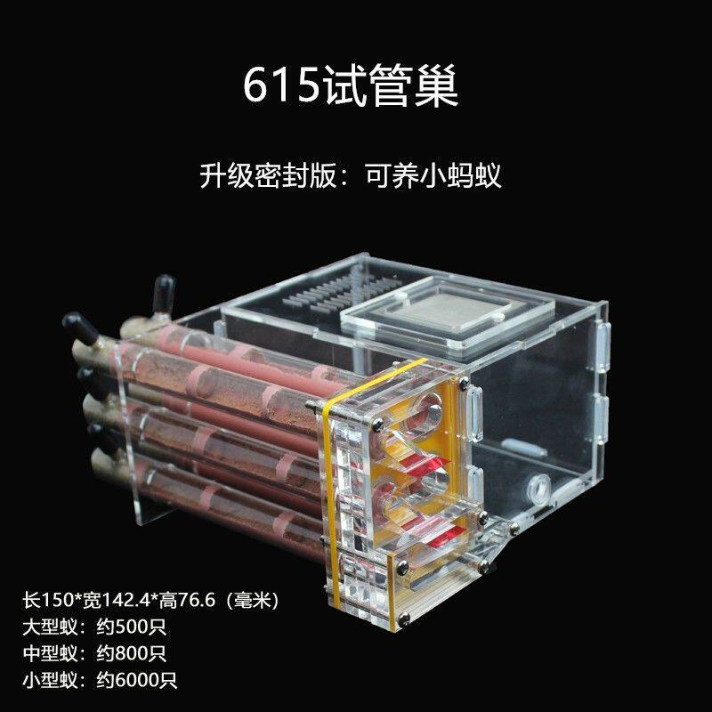 🎉2024新品:生态观察神器,石膏试管蚁巢 -蚂蚁工坊-淘宝好物网