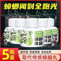 Cockroach Magic Box Medicine Full Nest End Home Non-toxic Insect Repellent Rocockroach Kerstars Insect Repellent indoor home Dormitory Insect dewormer