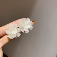 Белая серебряная игла