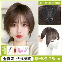 Quan Zhenfa [Mocha Brown] -FAN FAN Внутренний конверт сети -более