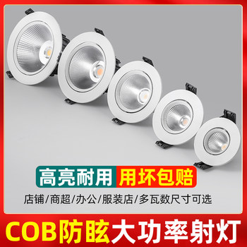 Spotlight Led Ceiling Light Embedded Ultra-Bright Cob Household Hole Light Downlight 3W5W7W9W12W18W Commercial Spotlight
