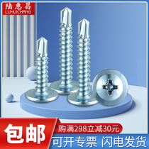 High strength drilling tail nail galvanized round head Hushi dovetail nail self-drilling nail flat head with pad drilling tail screw M4 2