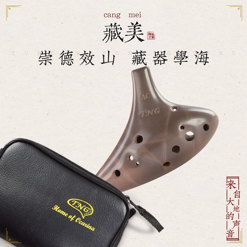 TNG Takaro 12 -отверстие термин AC терминал Начало работы Zisha Twelen Pole Puzzle Средний звук C Регулирует F -Регулирование G Уровень регулировки