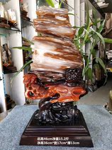 Myanmar tree jade rough stone send base gift collection silicified wood natural ornamental stone wood fossil tree fossil ornaments