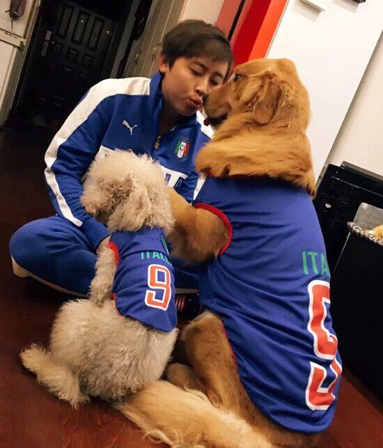 Dog Vest Thin Summer Golden Mulla Bradora Haskikoki Medium Large Dog Clothing Pet Summer Clothing