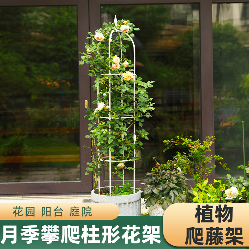Flower stand climbing rose clematis support art