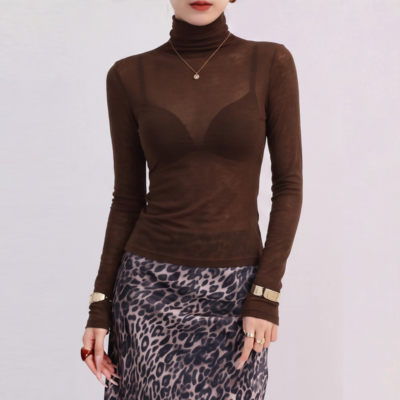Coffee-Colored High-Neck Base Shirt for Women, 2026 New Style, Layered Wear, High-End Feel, Slim Fit, Slightly Sheer, Long-Sleeve Mesh Top, Thin