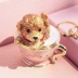 Piearth con chó dễ thương tách trà chó hộp lưu trữ đồ trang sức nhỏ hộp bông tai nhỏ món quà sáng tạo - Nhẫn