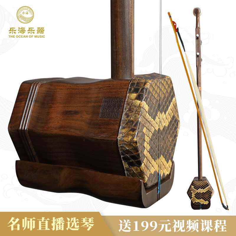 Le Hai Dihu Music Instrument 1 - grade Arnoguy Sumo Twihu Adult Beginning Examination Dedicated DQ215 - A