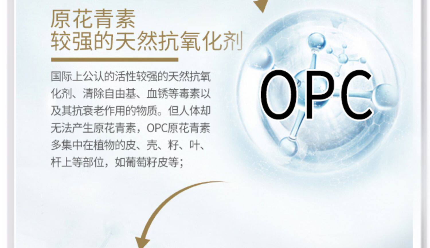 澳洲herbsofgold黄金草本葡萄籽花青素精华片非胶囊维生素e提取物 虎窝淘