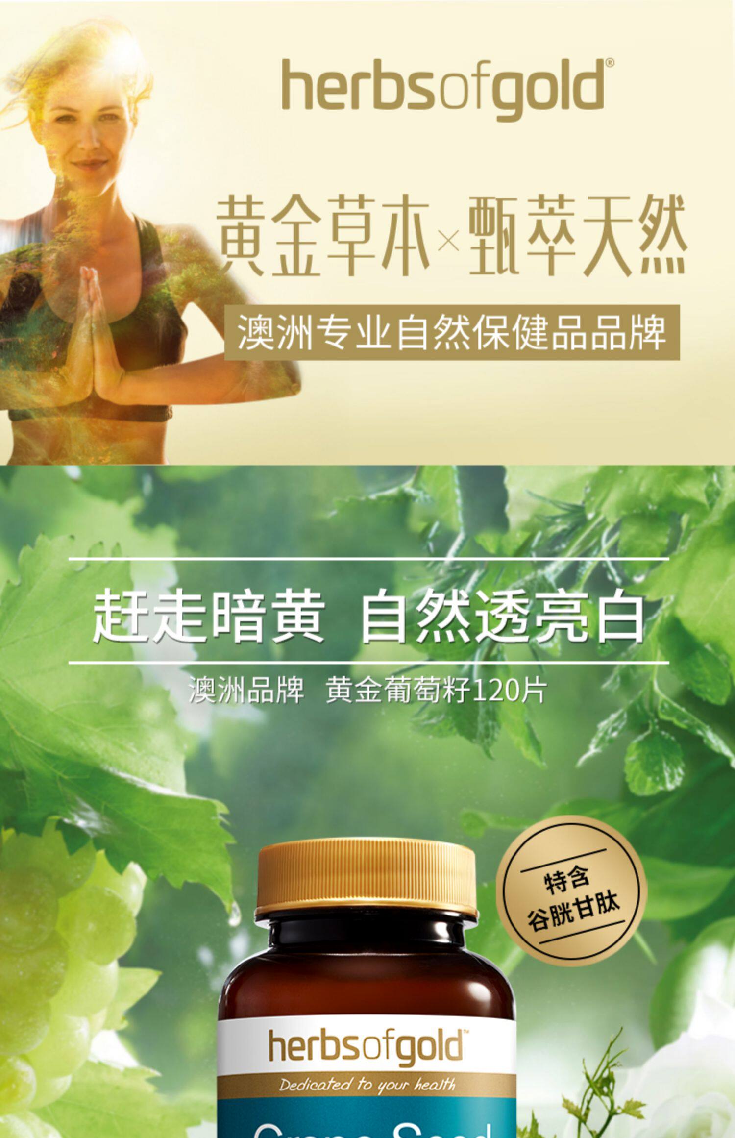 澳洲herbsofgold黄金草本葡萄籽花青素精华片非胶囊维生素e提取物 虎窝淘