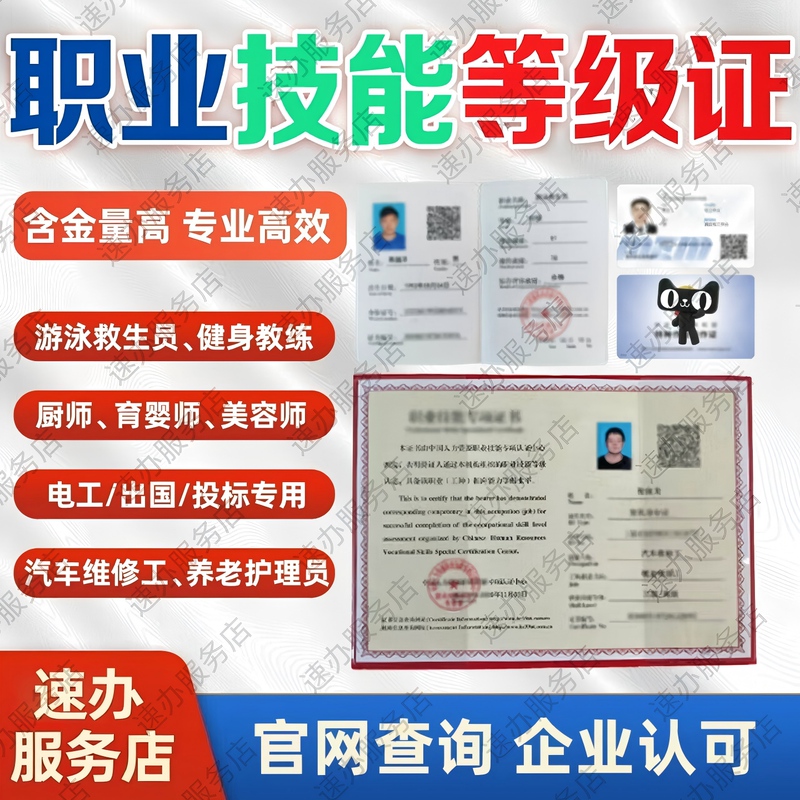 Professional Skills Certificates: Automotive Repair Technician Certificate, Nursing Caregiver Certificate, Caregiver Certificate, Chef Certificate, Electrician Certificate Application Process