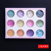 12 -Color Shell Shell