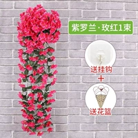 Фиалка Роза 1 букет + 1 корзина цветов