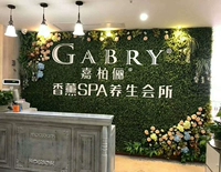 Фонд Jiabai/Один цена на пинми