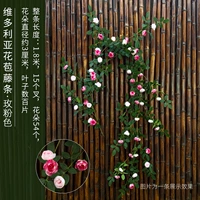 1,8 метра Victoria Vine Rose Pin