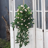 Цвет шампанского 1 метр Бутон Виктория настенный подвесной