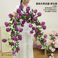 Большой цветок фантазийного фиолетового цвета, розовая лоза Моне, длина 1,7 метра