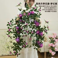 Лоза розы Fantasy Purple Monet длиной 1,8 метра