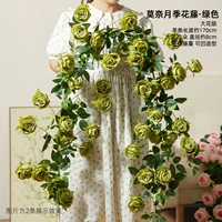 Зеленая крупноцветковая версия розовой лозы Моне, цельная, длиной 1,7 метра.