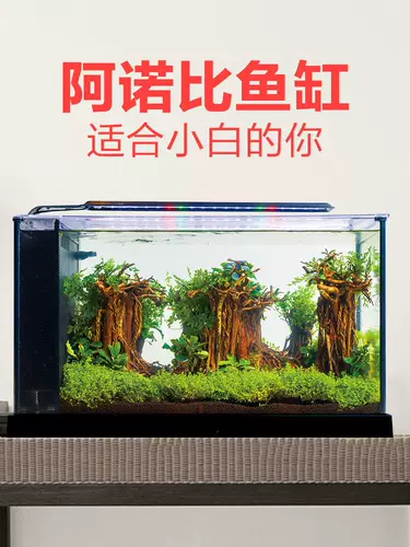 Экологическая бутылочка рыбака рыба -фермерский фермерский фермерский бассейн дома мини -мини.Маленький аквариум -аквариум аквариум по декоративному офису