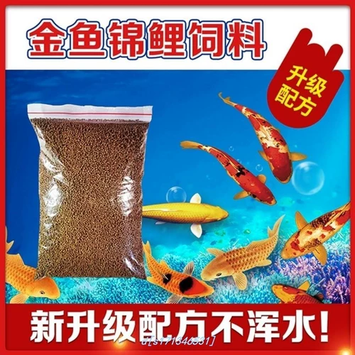 (Весенняя рекламная реклама снижение пельменов) Золотая рыбка кормит рыбную рыбу рыб