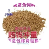 (Весенняя рекламная реклама снижение пельменов) Золотая рыбка кормит рыбную рыбу рыб