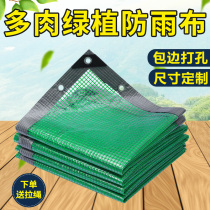 Fleshy rain cloth transparent plastic tarpaulin green flower stand balcony courtyard outdoor sunshade sunscreen awning cloth