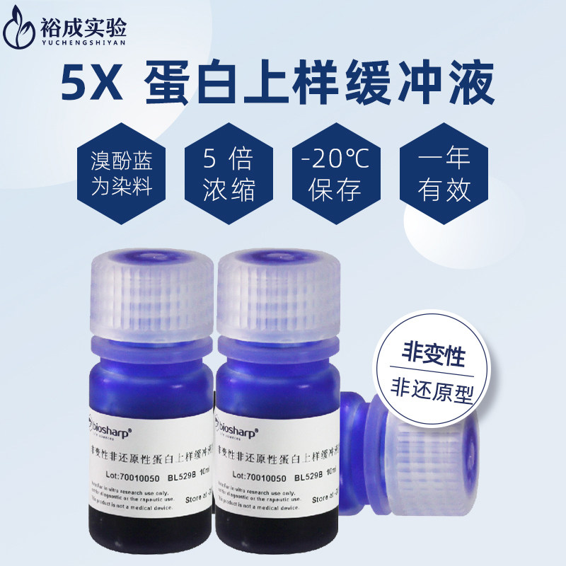 白鲨Biosharp BL529A  BL529AB 5*蛋白上样缓冲液（非变性非还原型）5X Native Gel Sample Loading Buffer