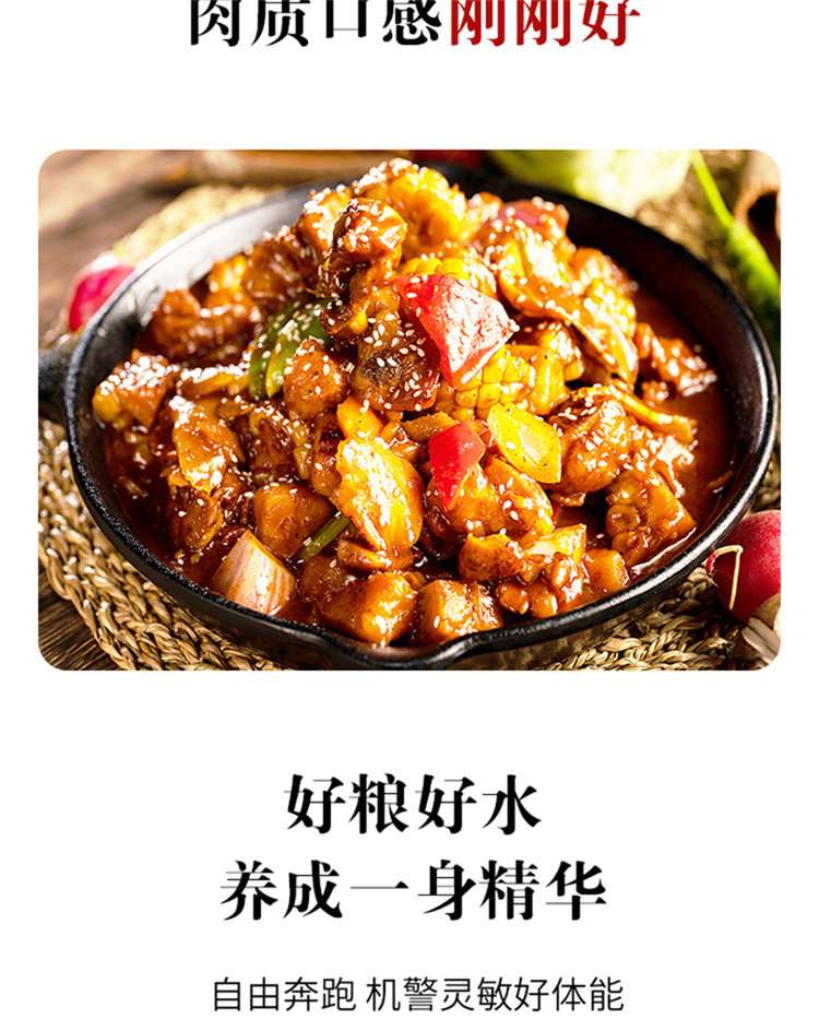 彦伯 90天散养 走地鸡 山东土鸡 700g*3只 双重优惠折后￥69包邮