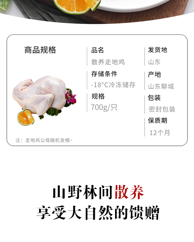 彦伯 农家散养土雏鸡 670g*3只 3个月生长鸡龄 图2