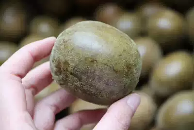 Luo Han Guo big fruit usually uses it to make tea and drink sweet, sweet, sweet, good voice, even big fresh goods