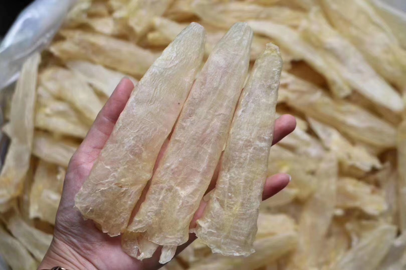 50 Head Bascha Gum Fish Gum Deep Sea Fresh Foot Dry Goods Pregnant Woman Nourishing Stew Chicken Broth Gum Milk Frozen Meat Thick