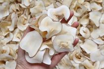 Seabed coconut slices fresh sulfur-free primary color strong coconut flavor Guangdong soup material high quality dry food supplies 250g