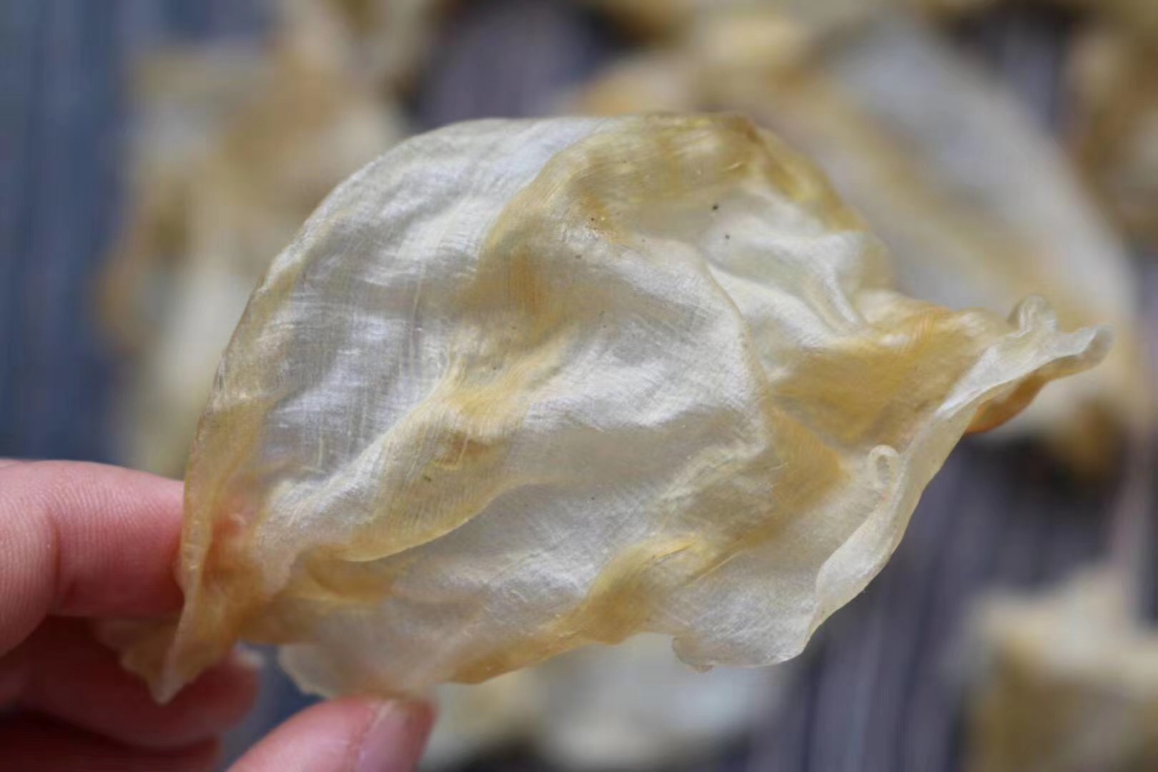 480 head small red fish belly hair good soak in elastic full mouthfeel bullet solid denture good thick meat red fish glue G