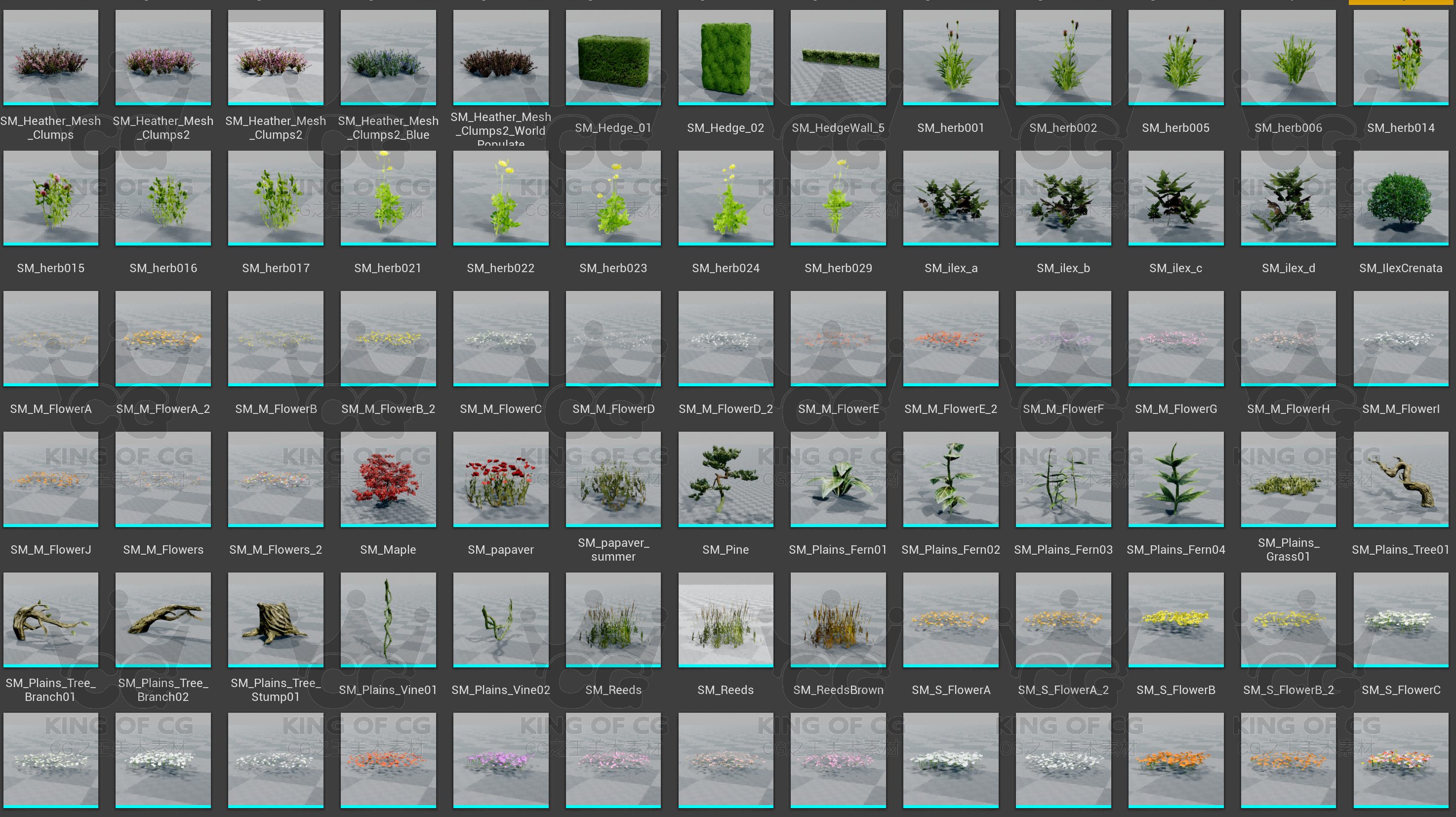 图片[16]-ue4虚幻商城植物花草树木落叶杂草鲜花植被杂木蘑菇自然物大合集-cg男孩
