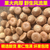 Wind Flowing Fruits Wild 500g Male Bubble Wine Stock Stone Fruits Guangxi Special Produce Fat Head Fruit Thick Squamco